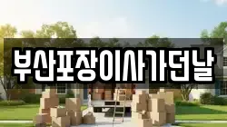 부산포장이사가던날