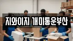 지와이지 개미통운부산