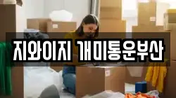 지와이지 개미통운부산