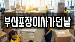 부산포장이사가던날
