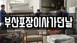 부산포장이사가던날