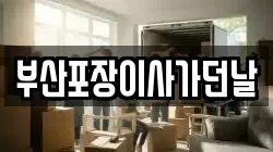 부산포장이사가던날
