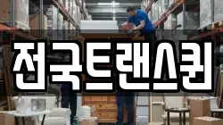 전국트랜스퀸