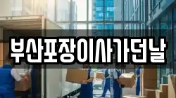 부산포장이사가던날
