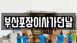부산포장이사가던날