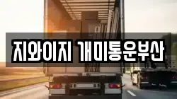 지와이지 개미통운부산