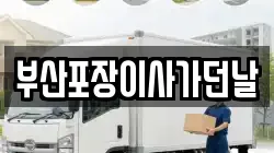 부산포장이사가던날
