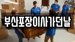 부산포장이사가던날