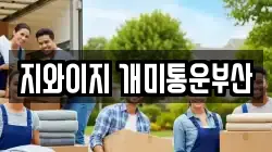 지와이지 개미통운부산