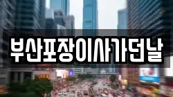 부산포장이사가던날