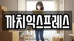 까치익스프레스