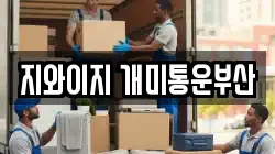 지와이지 개미통운부산