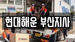 현대해운 부산지사
