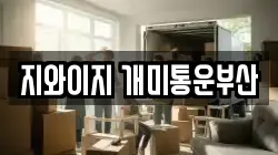지와이지 개미통운부산