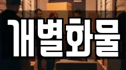 개별화물