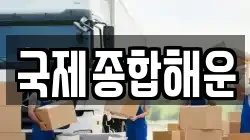 국제종합해운