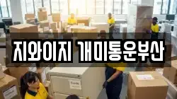 지와이지 개미통운부산
