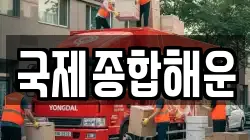 국제종합해운