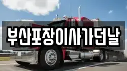 부산포장이사가던날