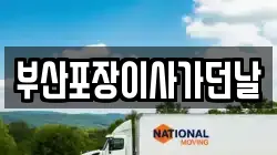 부산포장이사가던날