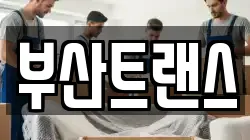 부산트랜스