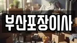 부산포장이사