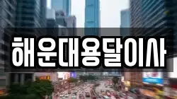 해운대용달이사