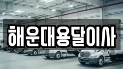 해운대용달이사