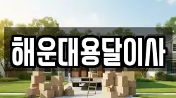해운대용달이사