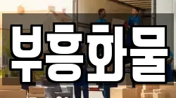 부흥화물