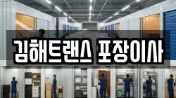 김해트랜스 포장이사