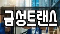 금성트랜스