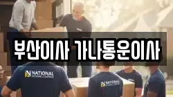 부산이사 가나통운이사