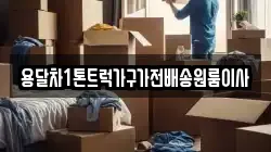 용달차1톤트럭가구가전배송원룸이사
