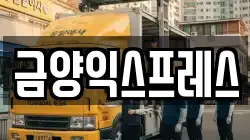 금양익스프레스