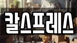 칼스프레스