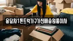 용달차1톤트럭가구가전배송원룸이사