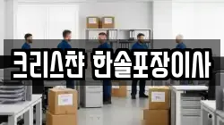 크리스챤 한솔포장이사