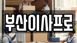 부산이사프로