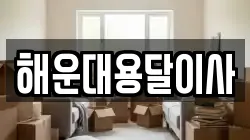 해운대용달이사