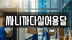 부산 남구 문현동 이사,포장이사,반포장이사,원룸이사,사무실이사,용달이사,전국이사,보관이사