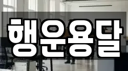 행운용달