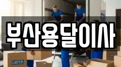 부산용달이사