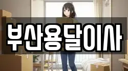 부산 남구 용호동 이사,포장이사,반포장이사,원룸이사,사무실이사,용달이사,전국이사,보관이사