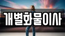 개별화물이사