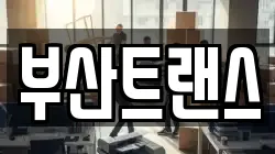 부산트랜스