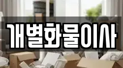 개별화물이사