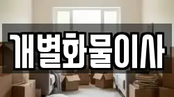 개별화물이사