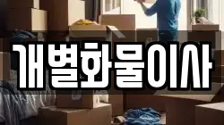 개별화물이사
