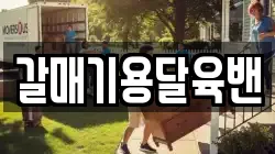 갈매기용달육밴